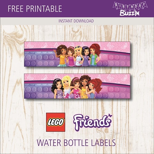 Lego friends hotsell water bottle