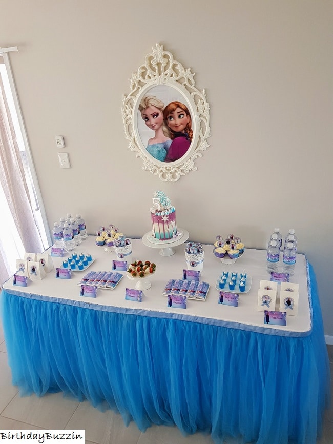 Frozen themed 5th birthday party ideas