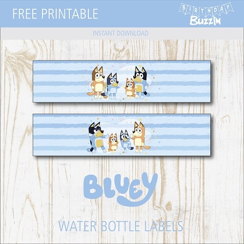 Bluey In Pink Water Bottle Labels