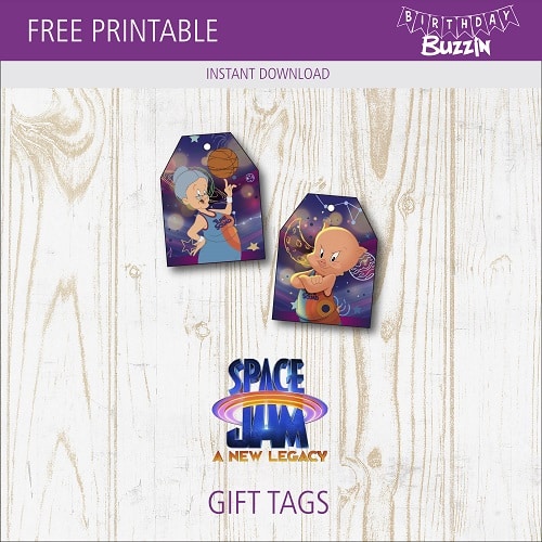 Free Printable Space Jam 2 Favor Tags